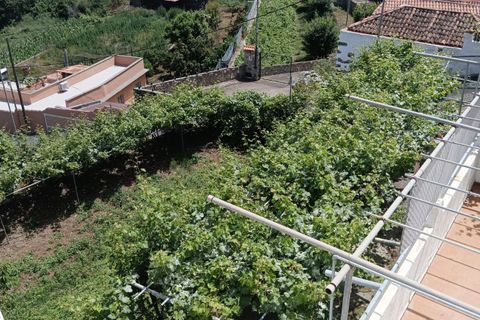 Landejendom i Llanito Perera, Tenerife, Llanito Perera - € 550.000 | Ref: 202605 - foto 6